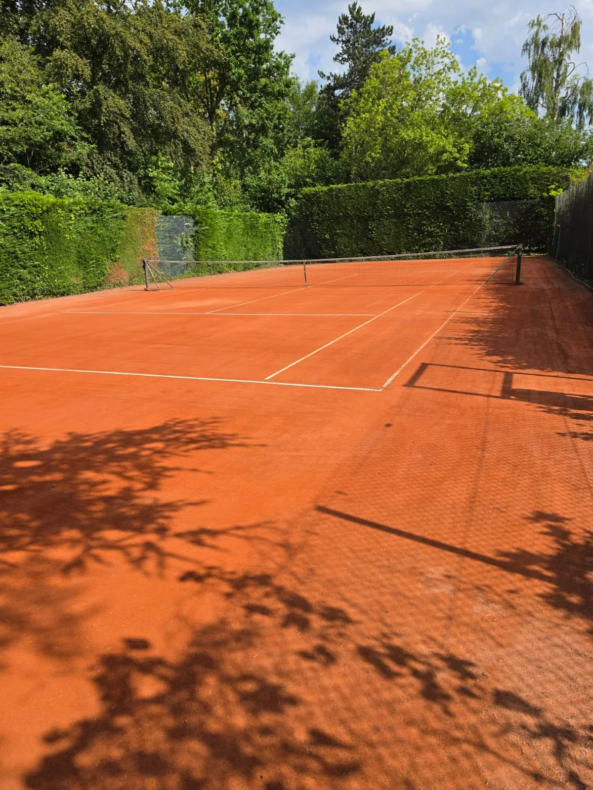 Graveltennisplein met net en witte belijning, omringd door hagen
